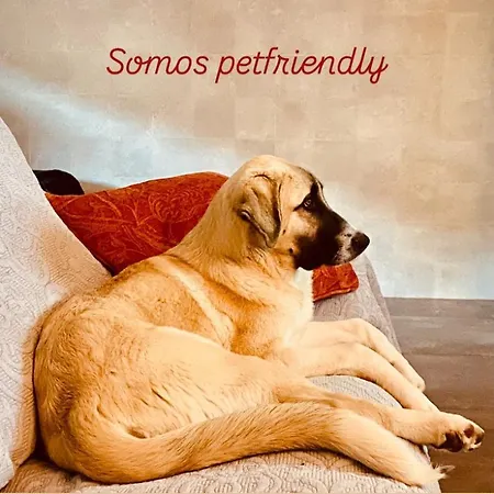 La Bodega De La Valduerna 2 Holiday home *