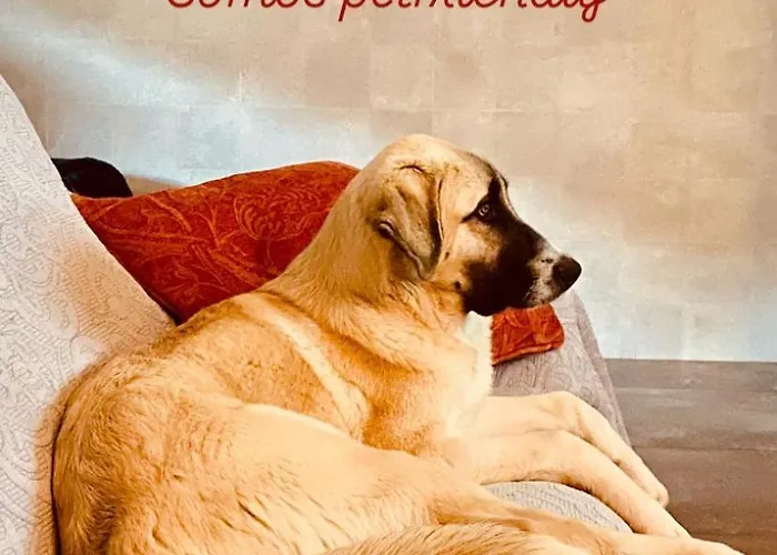 La Bodega De La Valduerna 2 Casa vacanze *